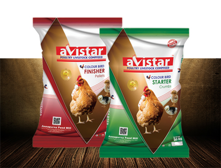 Avistar Colour Bird Feed